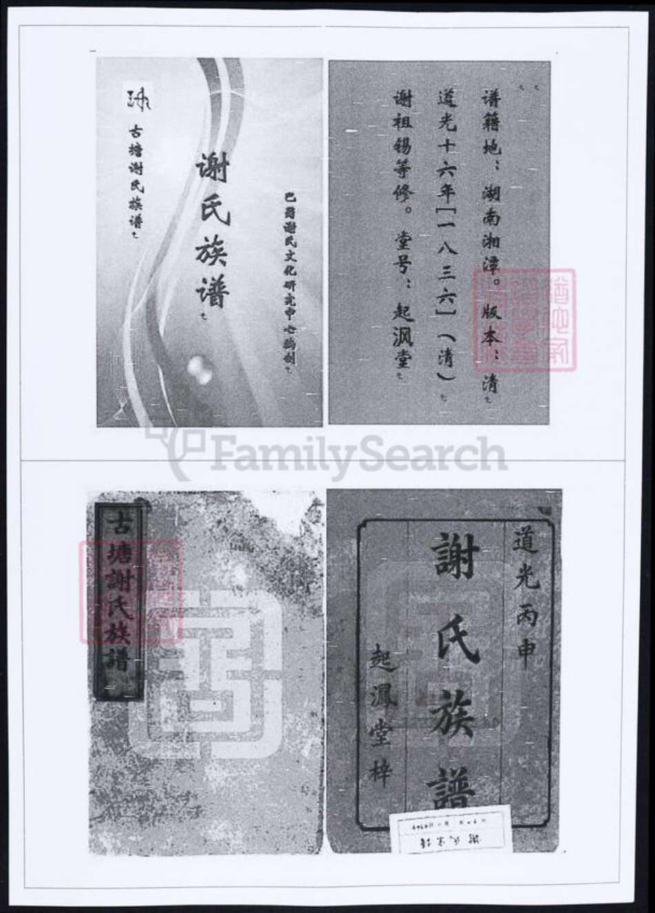 湖南省湘潭市谢氏族谱-谢氏族谱.pdf电子版缩略图