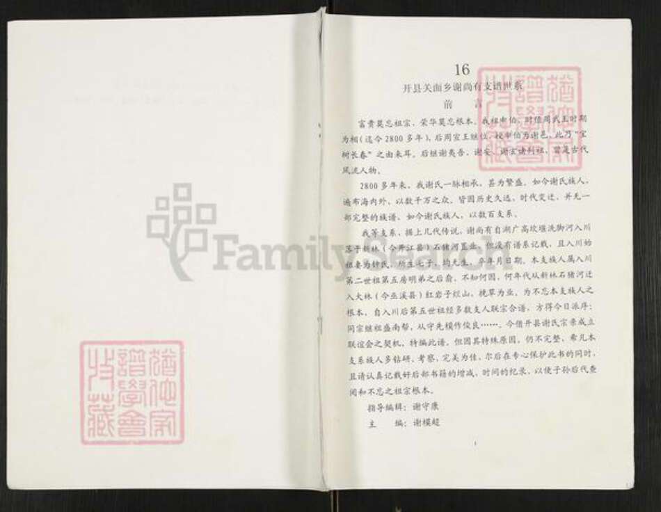 重庆市开州区重庆市万州开县谢；谢氏族谱-开县关面乡谢尚有支谱世系.pdf电子版缩略图