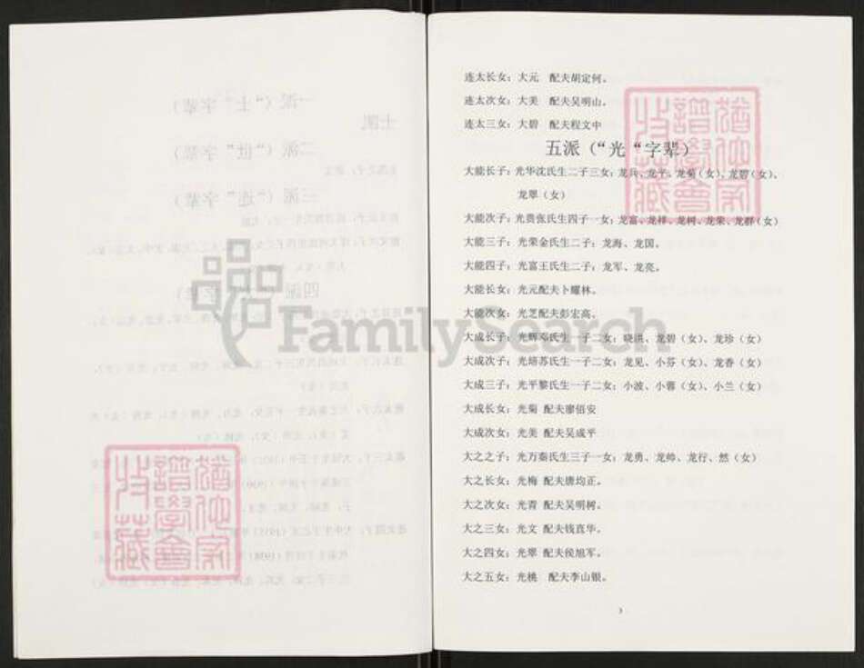 重庆市开州区重庆市万州开县谢；谢氏族谱-开县郭家铁厂沟谢士凯支谱.pdf电子版预览图3