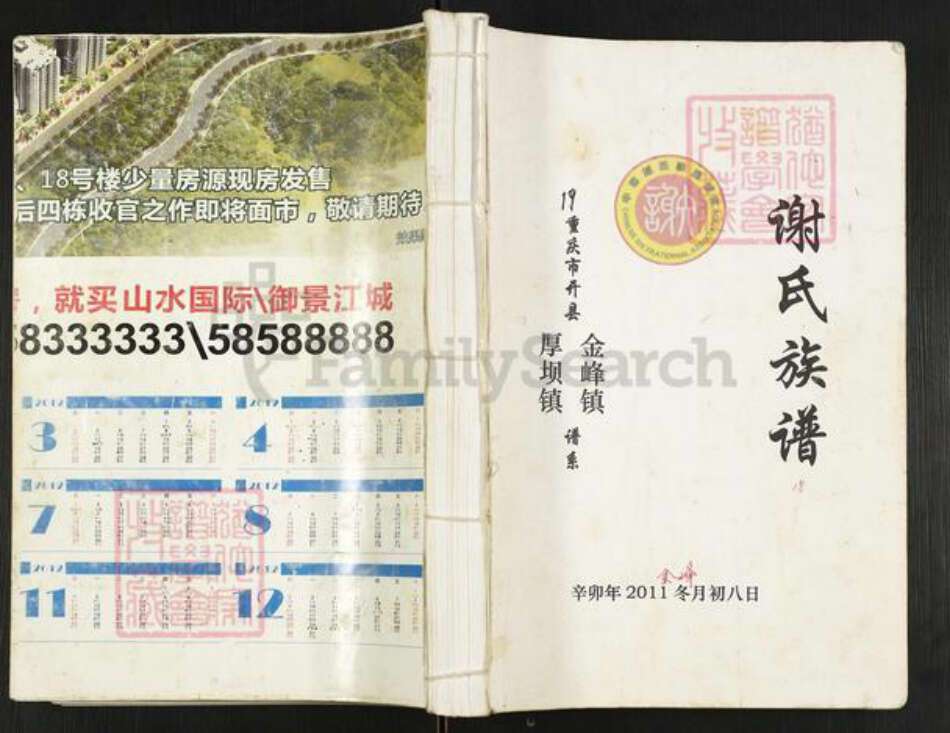 重庆市开州区重庆市万州开县谢；谢氏宝树堂族谱-谢氏族谱.pdf电子版缩略图