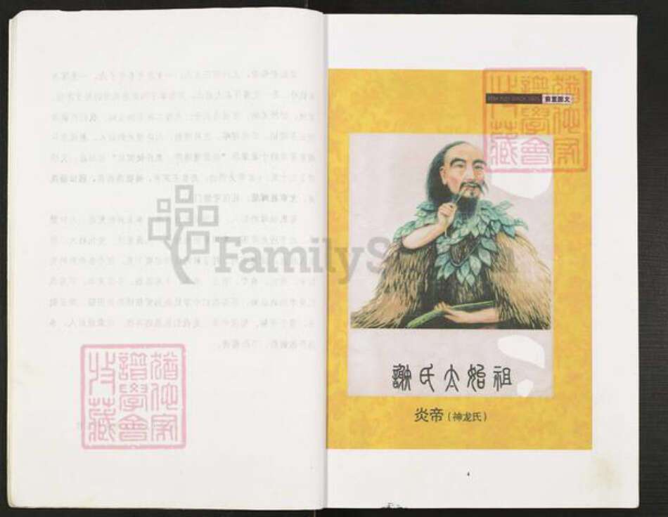 重庆市开州区重庆市万州开县谢；谢氏宝树堂族谱-谢氏族谱.pdf电子版预览图5