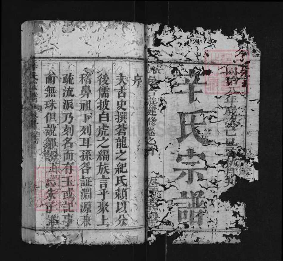 湖北省黄冈市红安县辛氏族谱-辛氏宗谱.pdf电子版预览图1