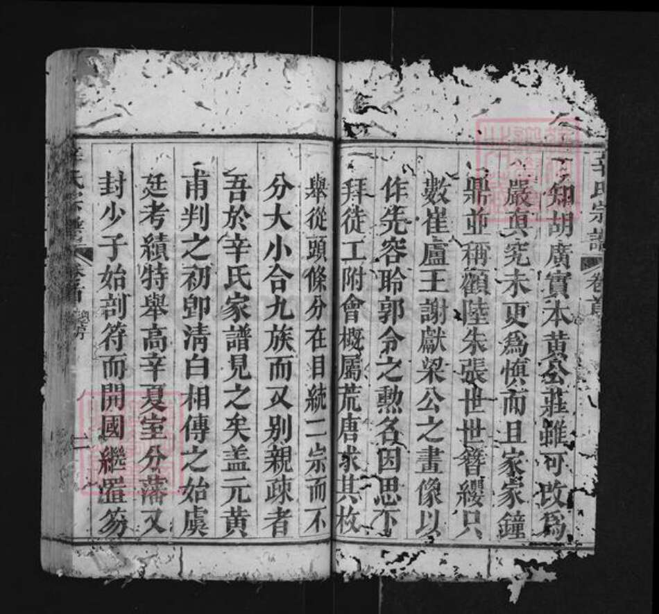 湖北省黄冈市红安县辛氏族谱-辛氏宗谱.pdf电子版预览图2