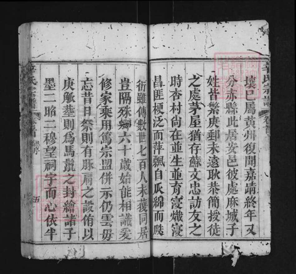 湖北省黄冈市红安县辛氏族谱-辛氏宗谱.pdf电子版预览图5