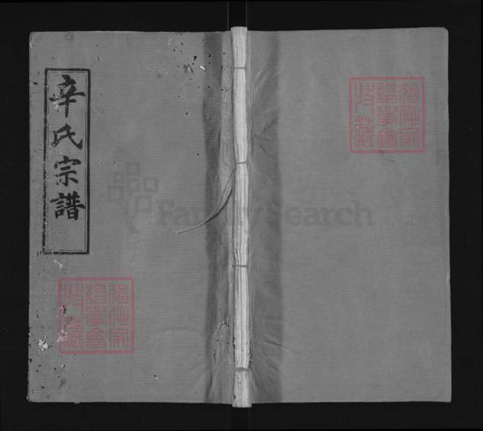 湖北省黄冈市麻城市辛氏八元堂族谱-辛氏宗谱.pdf电子版缩略图