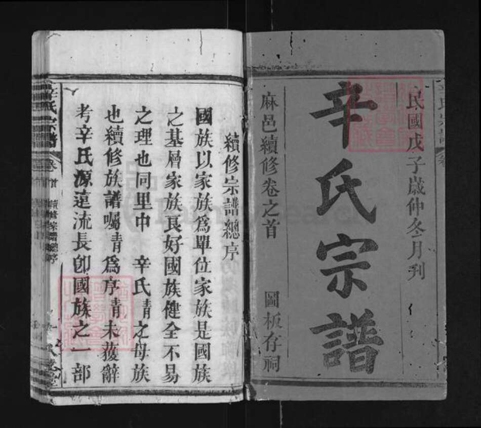 湖北省黄冈市麻城市辛氏八元堂族谱-辛氏宗谱.pdf电子版预览图1