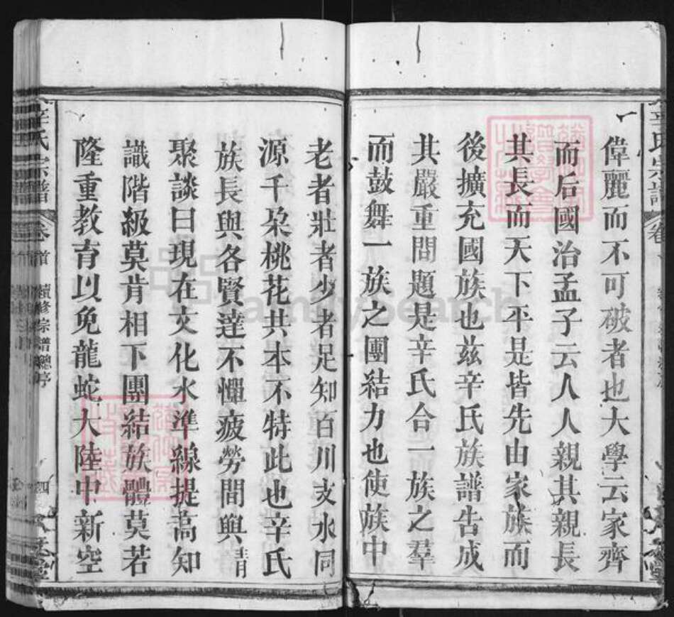 湖北省黄冈市麻城市辛氏八元堂族谱-辛氏宗谱.pdf电子版预览图4
