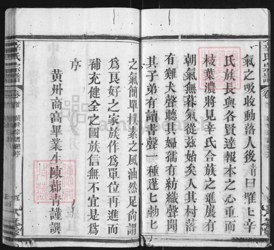 湖北省黄冈市麻城市辛氏八元堂族谱-辛氏宗谱.pdf电子版预览图5