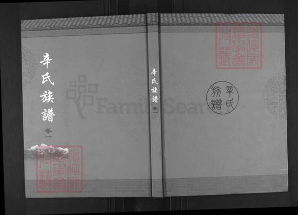 山东省青岛市崂山区辛氏族谱-辛氏族谱.pdf电子版缩略图
