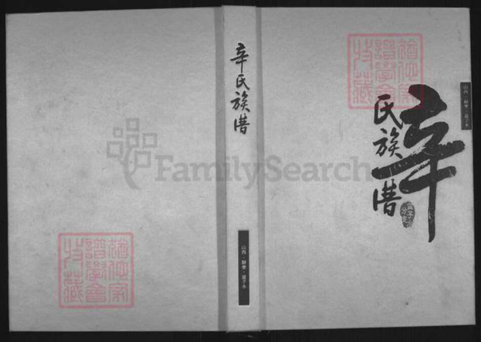 山西省忻州市静乐县中庄乡辛氏族谱-辛氏族谱.盆子水分支.pdf电子版缩略图