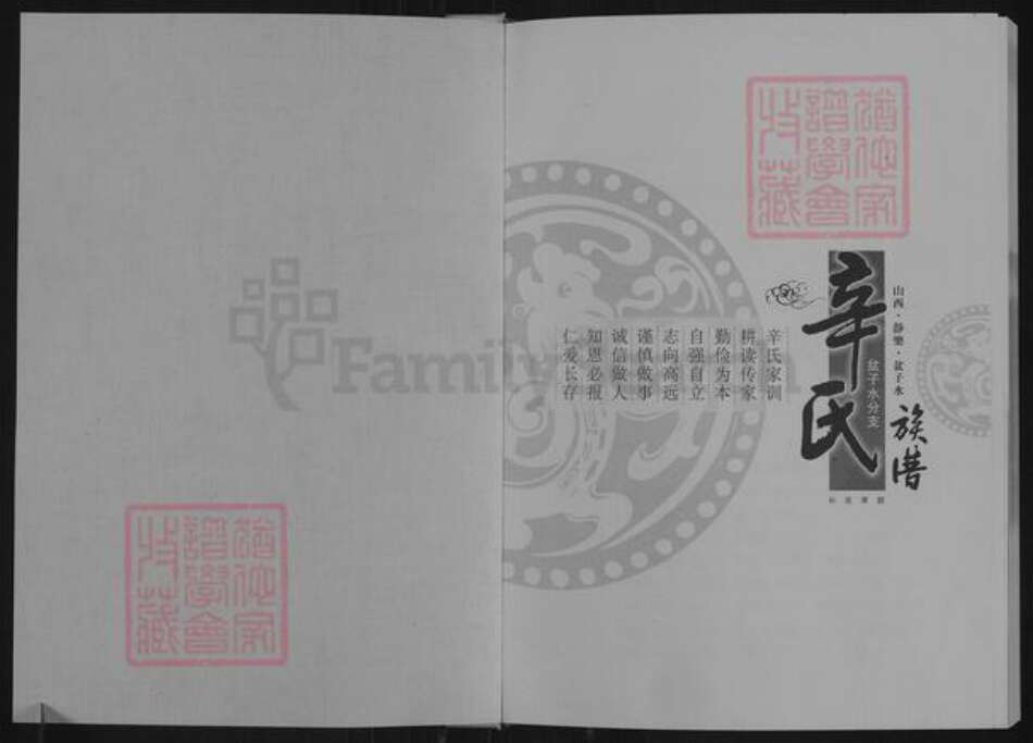 山西省忻州市静乐县中庄乡辛氏族谱-辛氏族谱.盆子水分支.pdf电子版预览图1