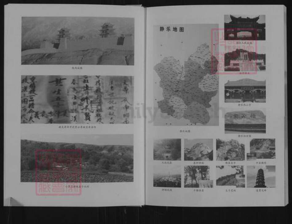 山西省忻州市静乐县中庄乡辛氏族谱-辛氏族谱.盆子水分支.pdf电子版预览图4