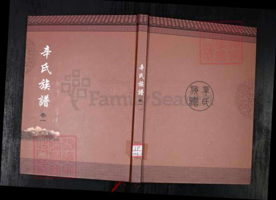 山东省青岛市辛氏族谱-辛氏族谱.pdf电子版缩略图