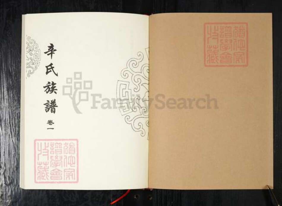 山东省青岛市辛氏族谱-辛氏族谱.pdf电子版预览图1