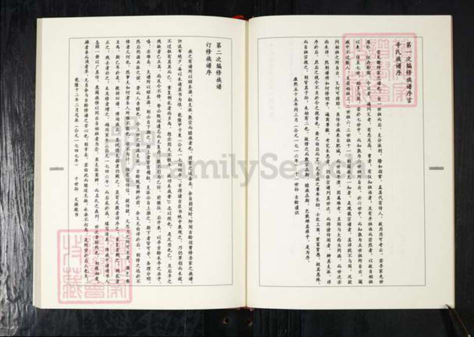 山东省青岛市辛氏族谱-辛氏族谱.pdf电子版预览图3