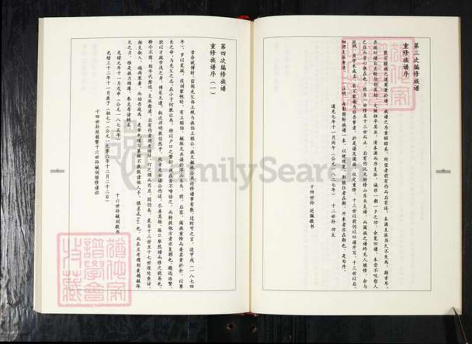 山东省青岛市辛氏族谱-辛氏族谱.pdf电子版预览图4