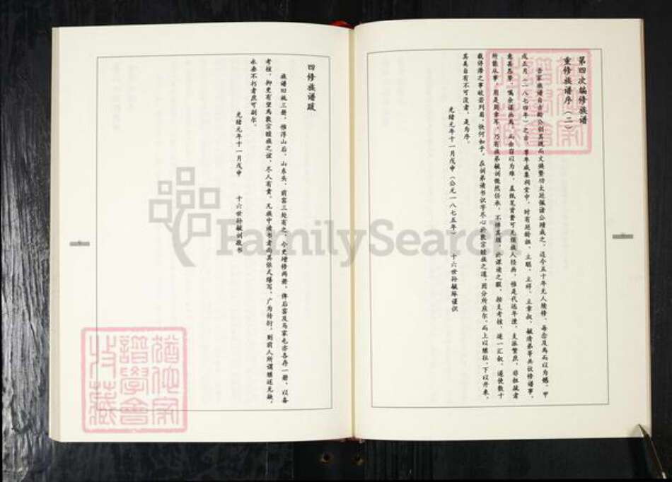 山东省青岛市辛氏族谱-辛氏族谱.pdf电子版预览图5