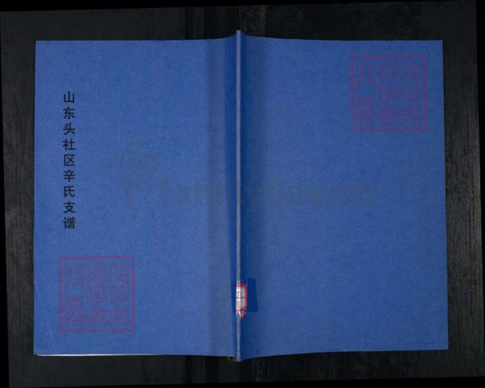 山东省青岛市崂山区辛氏族谱-山东头社区辛氏支谱.pdf电子版缩略图