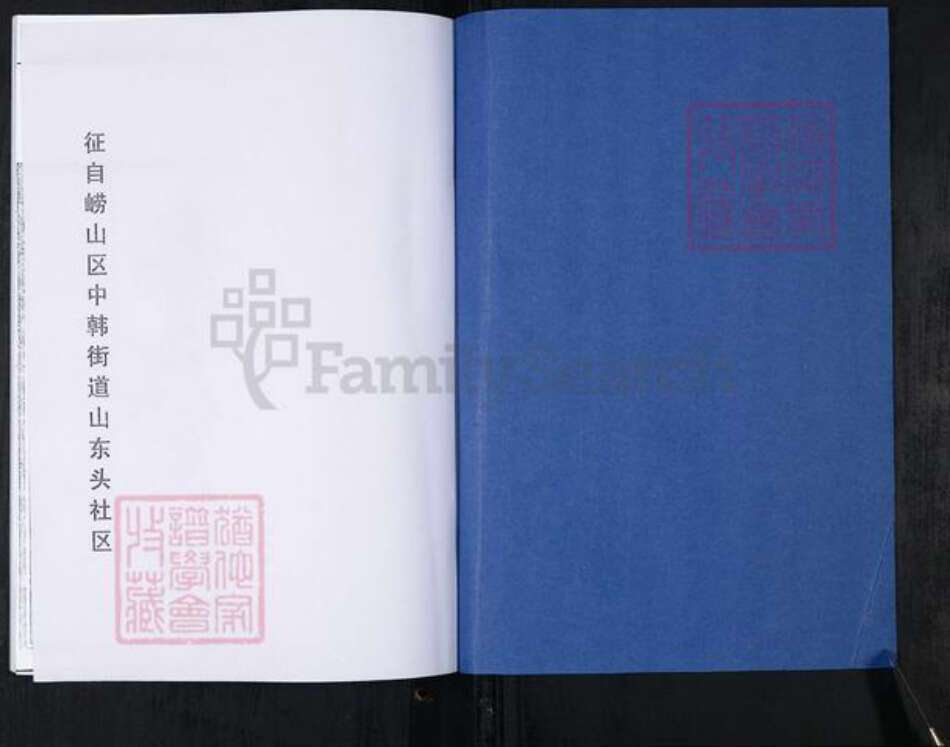 山东省青岛市崂山区辛氏族谱-山东头社区辛氏支谱.pdf电子版预览图1