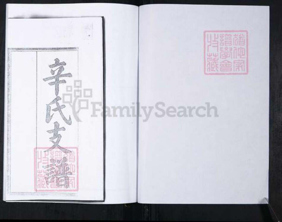 山东省青岛市崂山区辛氏族谱-山东头社区辛氏支谱.pdf电子版预览图2