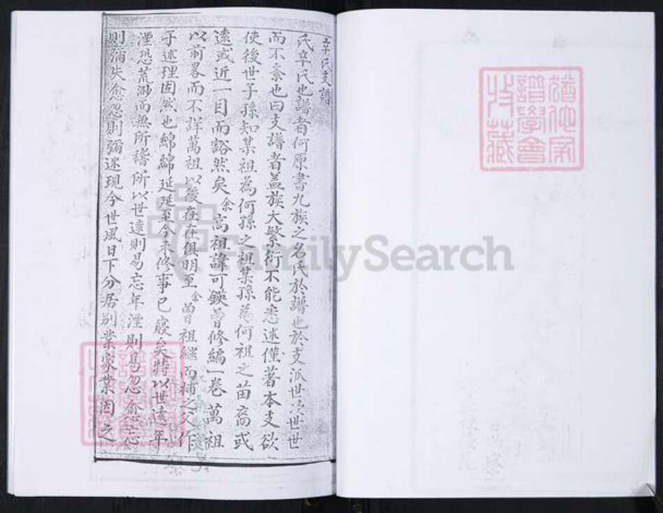 山东省青岛市崂山区辛氏族谱-山东头社区辛氏支谱.pdf电子版预览图3