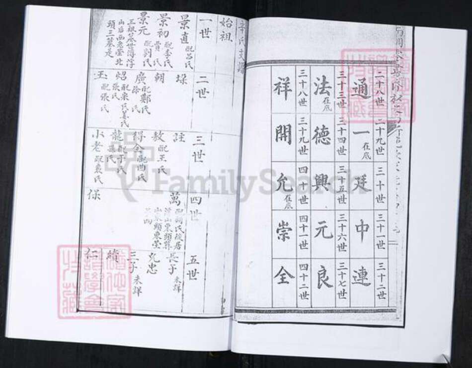 山东省青岛市崂山区辛氏族谱-山东头社区辛氏支谱.pdf电子版预览图5