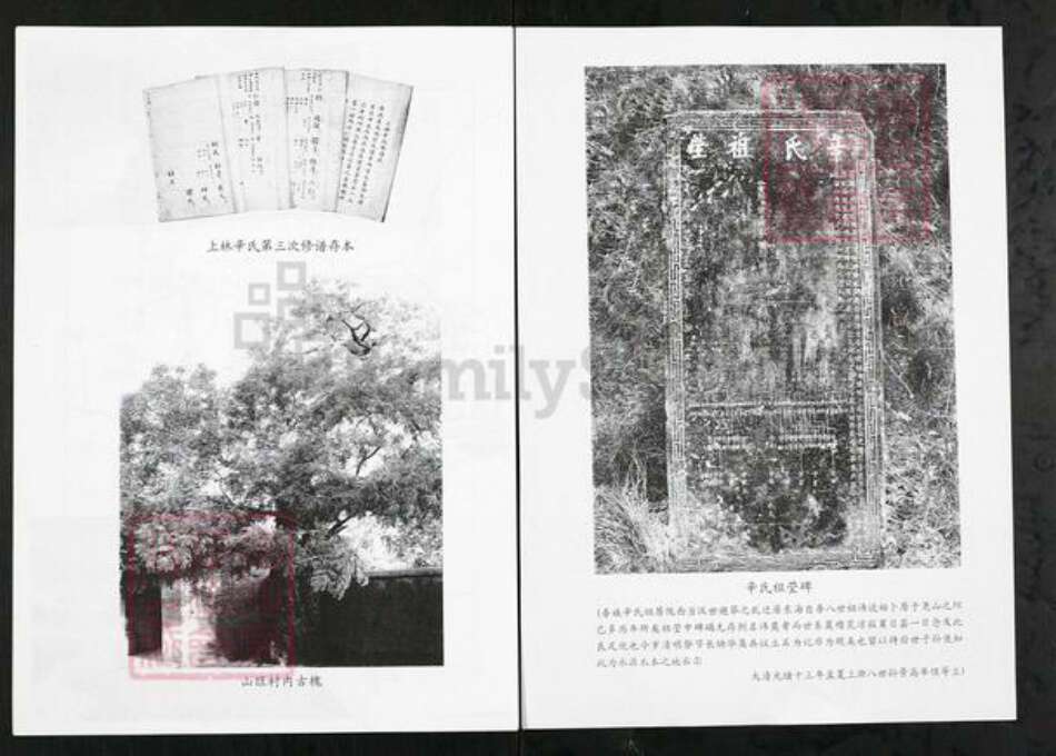 山东省潍坊市临朐县山旺镇辛氏族谱-临朐上林辛氏族谱.pdf电子版预览图1