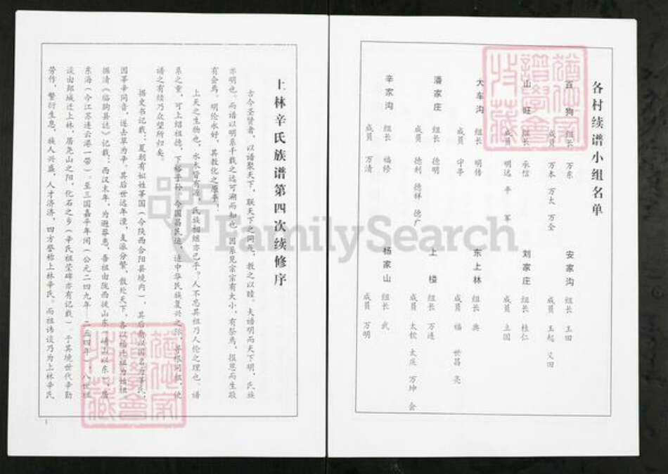 山东省潍坊市临朐县山旺镇辛氏族谱-临朐上林辛氏族谱.pdf电子版预览图4