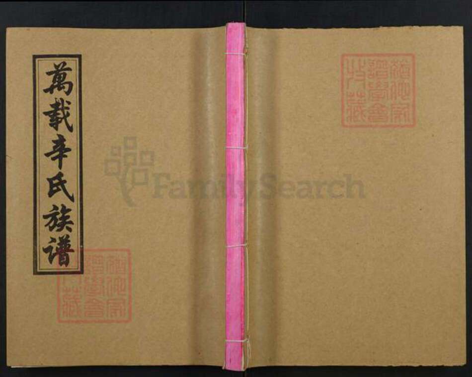 江西省宜春市万载县辛氏族谱-万载辛氏族谱.pdf电子版缩略图