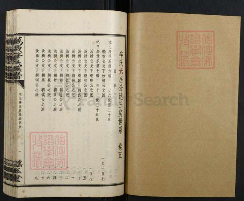 江西省宜春市万载县辛氏族谱-万载辛氏族谱.pdf电子版预览图1