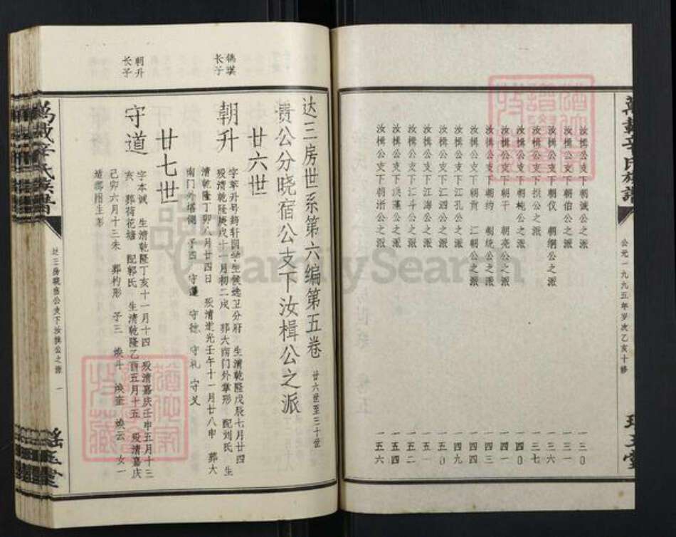 江西省宜春市万载县辛氏族谱-万载辛氏族谱.pdf电子版预览图2