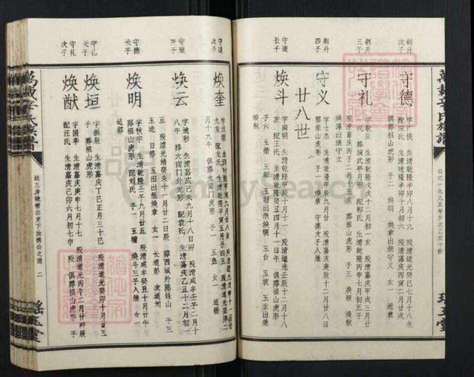江西省宜春市万载县辛氏族谱-万载辛氏族谱.pdf电子版预览图3