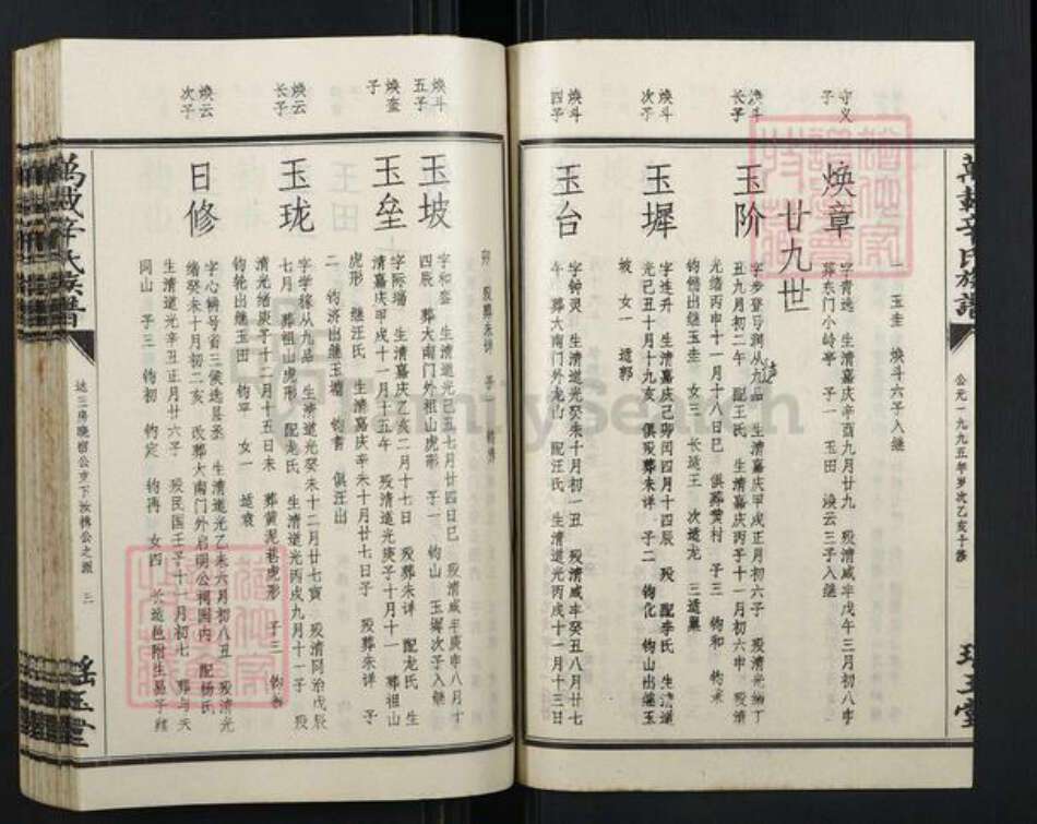江西省宜春市万载县辛氏族谱-万载辛氏族谱.pdf电子版预览图4