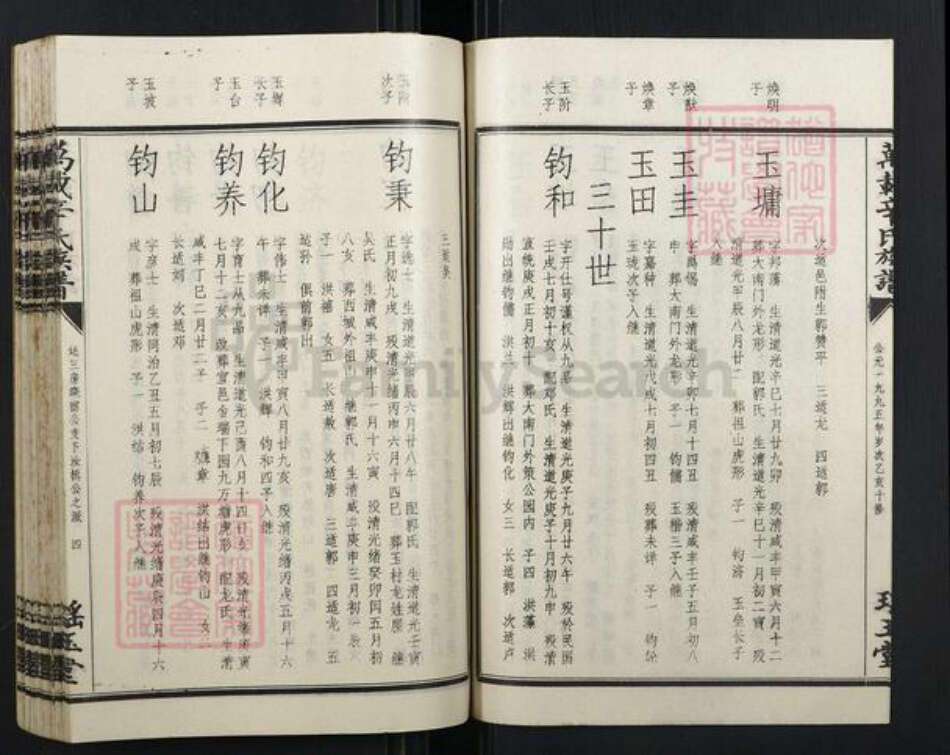 江西省宜春市万载县辛氏族谱-万载辛氏族谱.pdf电子版预览图5