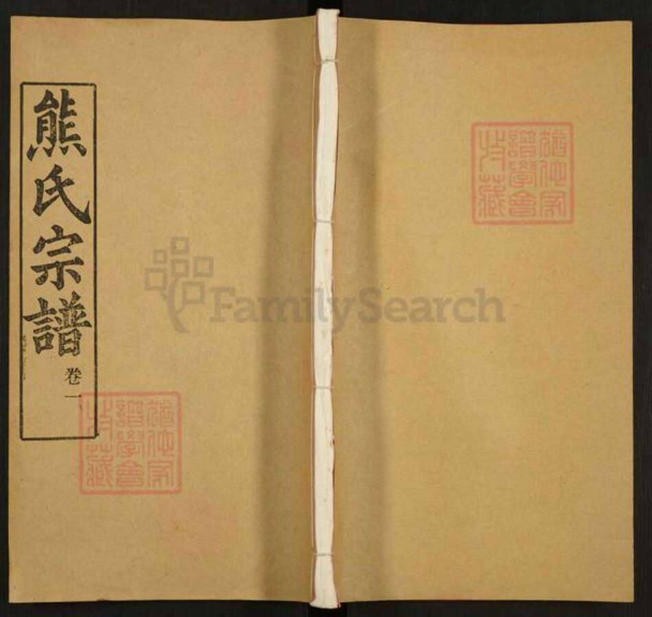 湖北省武汉市江汉区武汉熊氏雨钱堂族谱-熊氏宗谱.pdf电子版缩略图