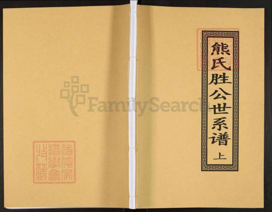 广东省茂名市信宜市平塘镇熊氏族谱-熊氏胜公世系谱.pdf电子版缩略图