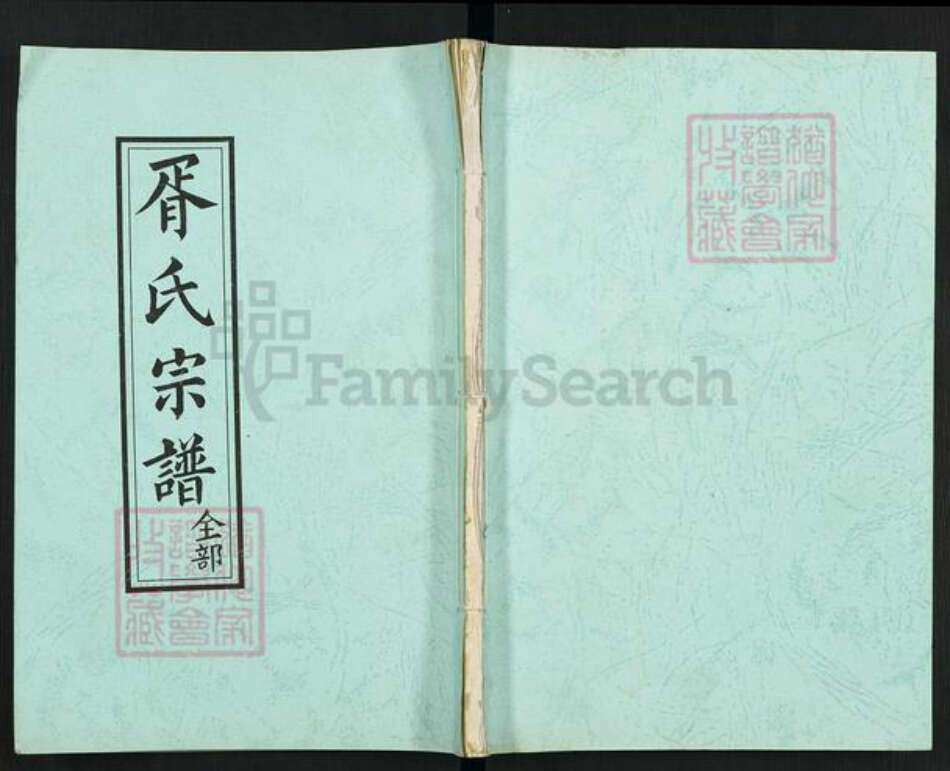 四川省绵阳市盐亭县金孔镇胥氏族谱-胥氏宗谱.pdf电子版