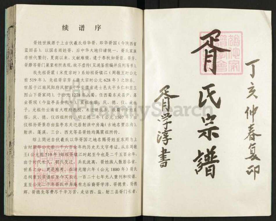 四川省绵阳市盐亭县金孔镇胥氏族谱-胥氏宗谱.pdf电子版预览图1