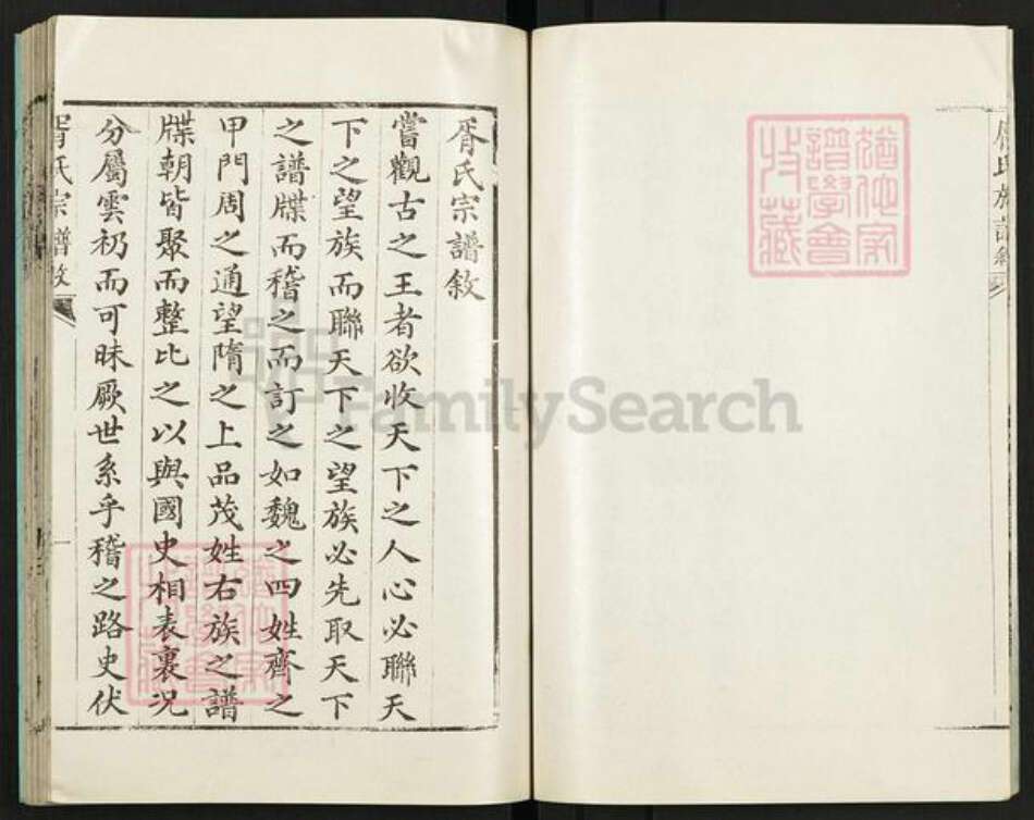四川省绵阳市盐亭县金孔镇胥氏族谱-胥氏宗谱.pdf电子版预览图5