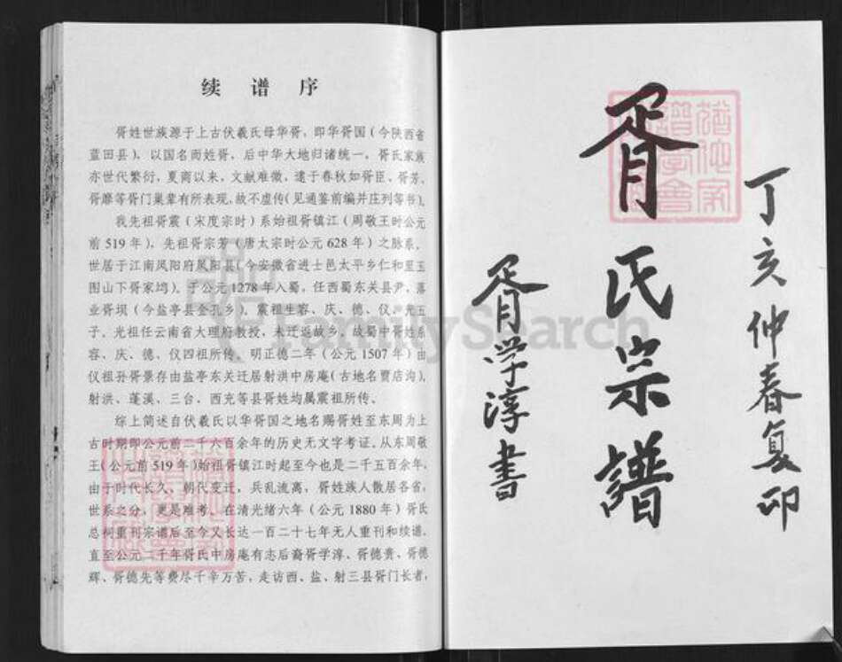 四川省绵阳市盐亭县金孔镇胥氏族谱-胥氏宗谱.pdf电子版预览图1