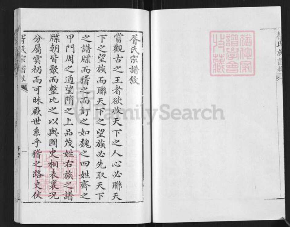 四川省绵阳市盐亭县金孔镇胥氏族谱-胥氏宗谱.pdf电子版预览图5