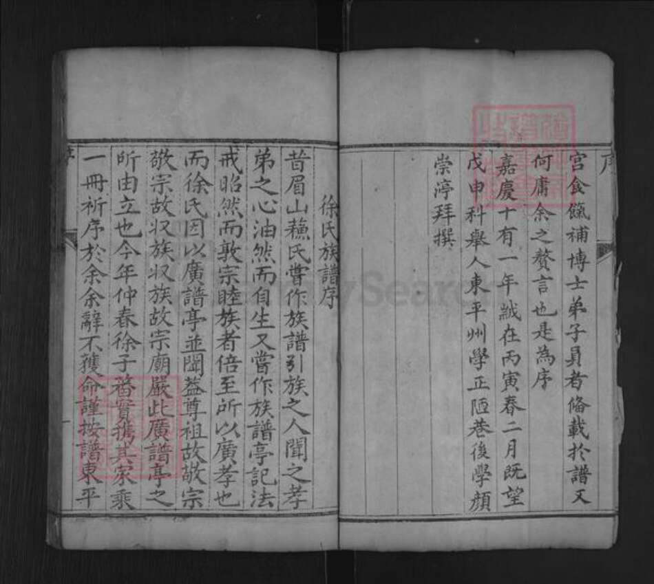 山东省泰安市东平县接山镇徐氏敦睦堂族谱-徐氏族谱.pdf电子版预览图5