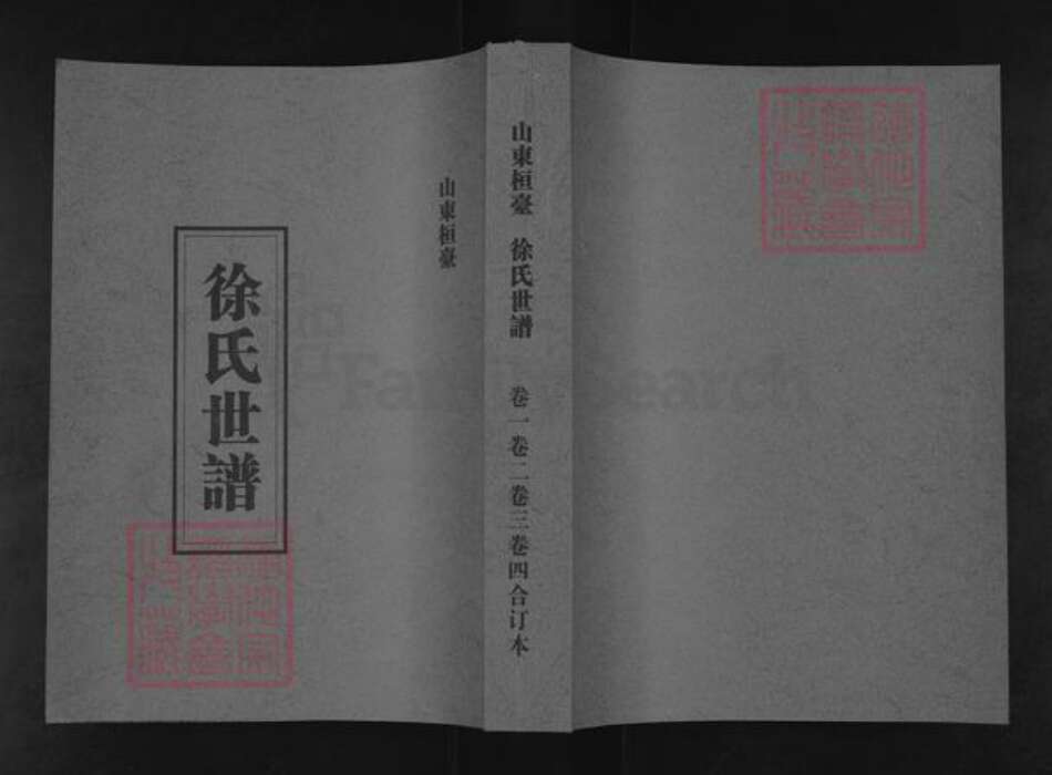 山东省淄博市桓台县新城镇徐氏族谱-徐氏世谱.pdf电子版缩略图