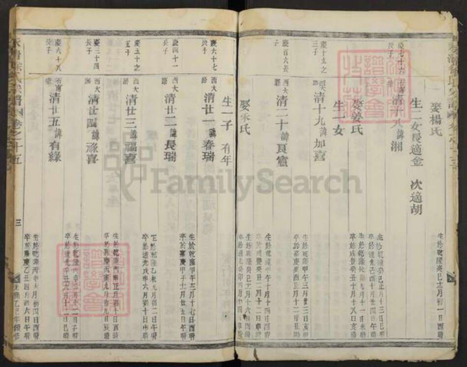 浙江省金华市徐氏族谱-永清徐氏宗谱.pdf电子版预览图3