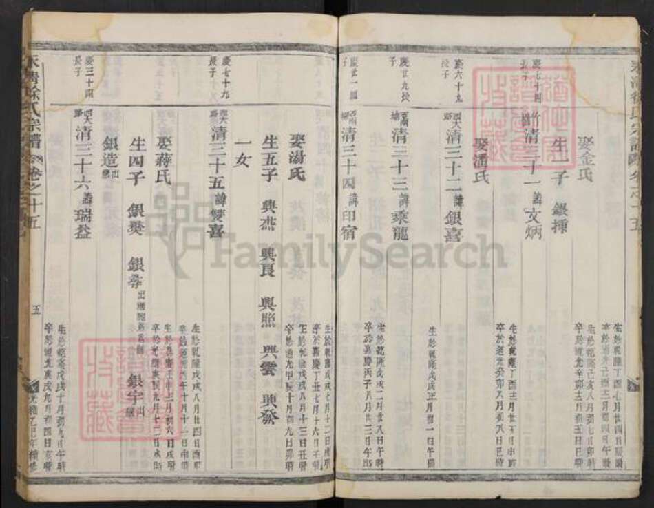 浙江省金华市徐氏族谱-永清徐氏宗谱.pdf电子版预览图5