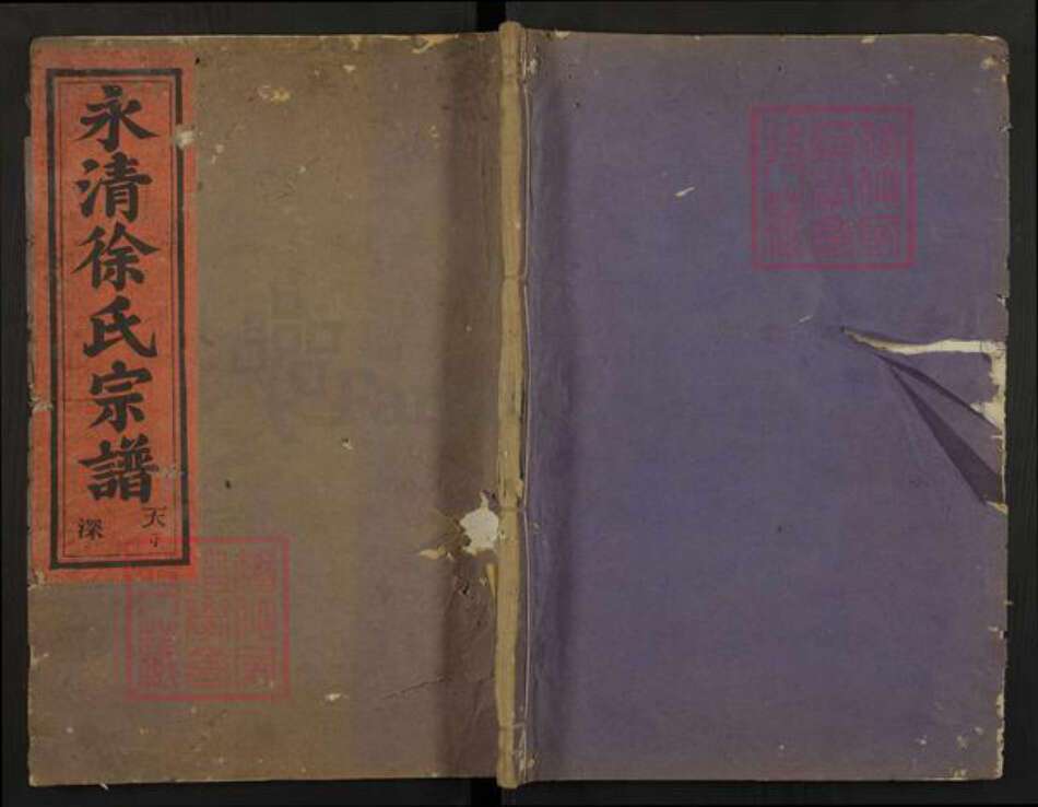 浙江省金华市武义县徐氏族谱-永清徐氏宗谱.pdf电子版缩略图