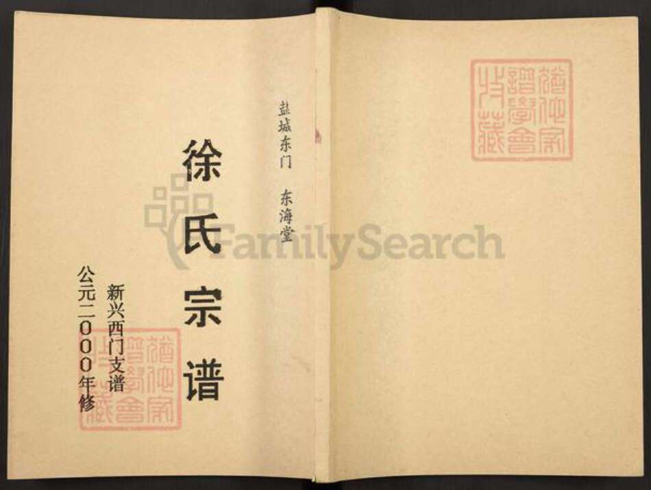 江苏省盐城市建湖县徐氏东海堂族谱-徐氏宗谱.新兴西门支谱.pdf电子版缩略图