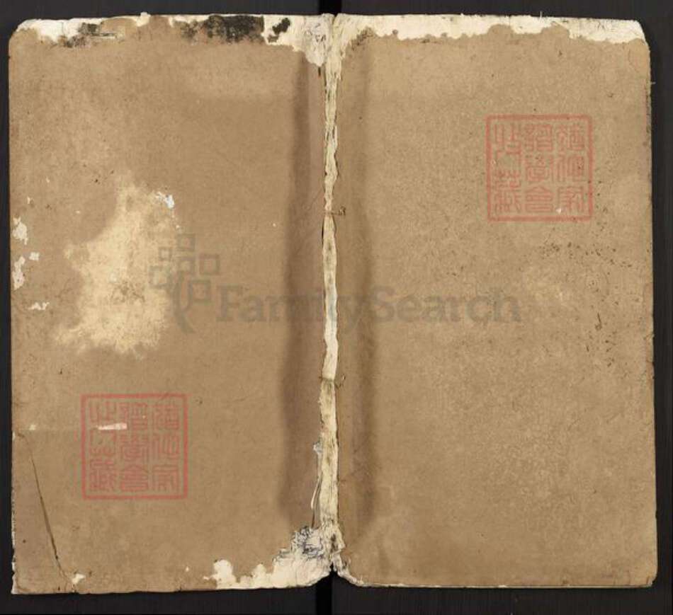 湖北省鄂州市华容区华容镇徐氏两美堂族谱-徐氏宗谱.pdf电子版缩略图