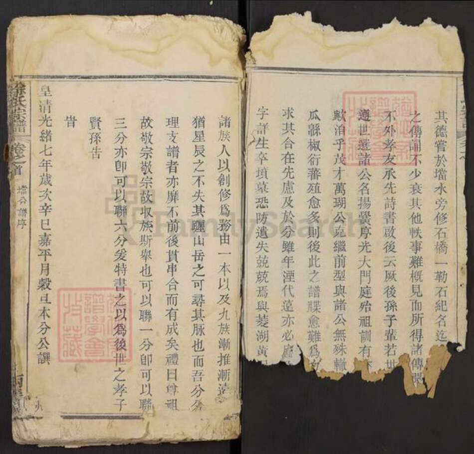 湖北省鄂州市华容区华容镇徐氏两美堂族谱-徐氏宗谱.pdf电子版预览图1