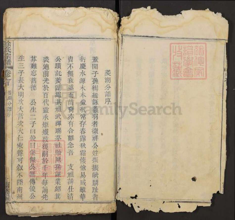 湖北省鄂州市华容区华容镇徐氏两美堂族谱-徐氏宗谱.pdf电子版预览图2